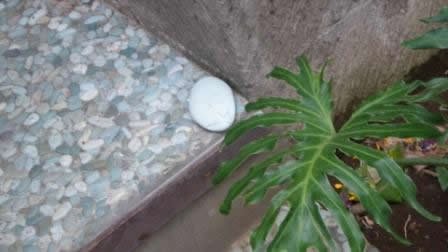 Bali 2009 028