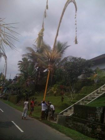 Bali Iphone Chedi Club Elphants Healer CR 037