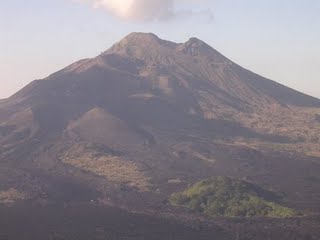 DSCN9767